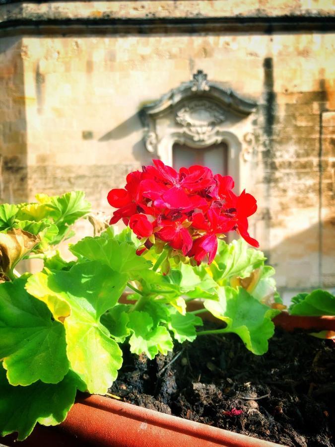 Bed and Breakfast Palazzo Salìa Lecce Esterno foto